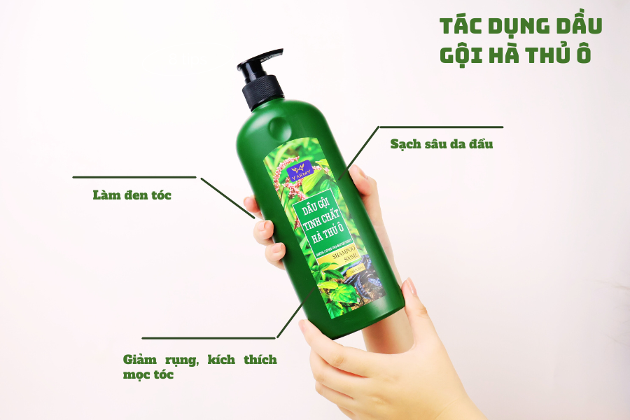 Lợi ích của dầu gội hà thủ ô