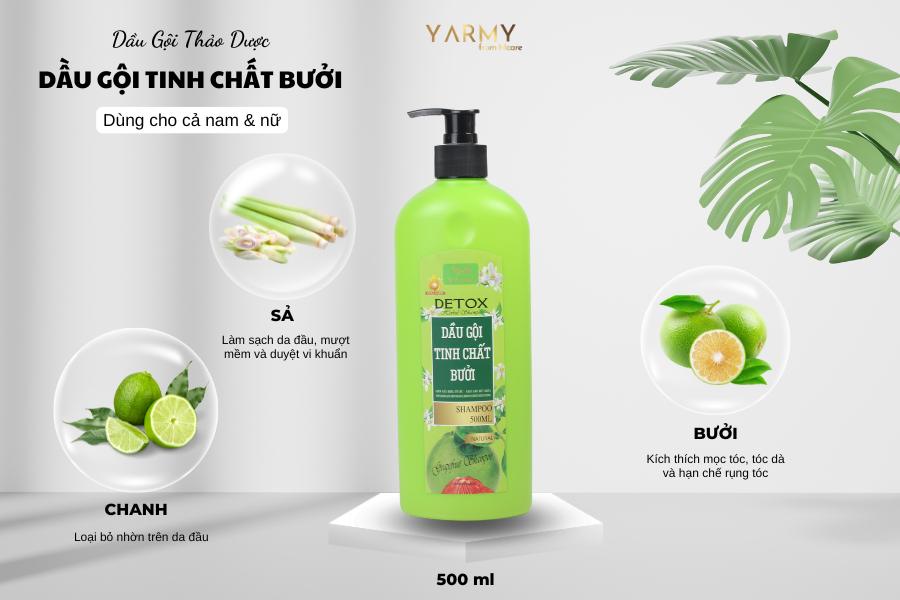 Thành phần trong dầu gội bưởi
